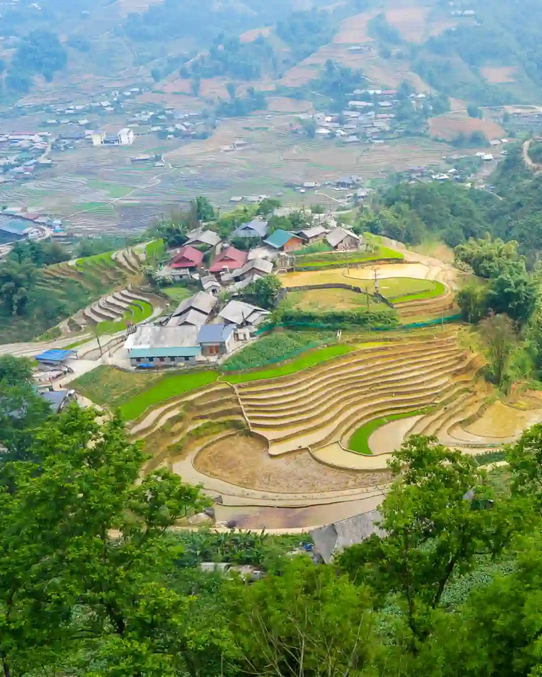 Sapa