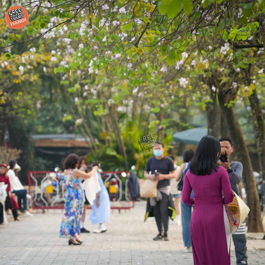 Historic Old Quarter Collective Housing in Hanoi